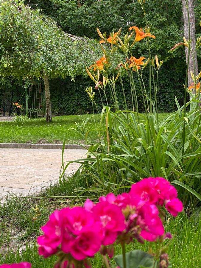 Balatonair Vendeghaz Hotel Balatonfüred Eksteriør billede